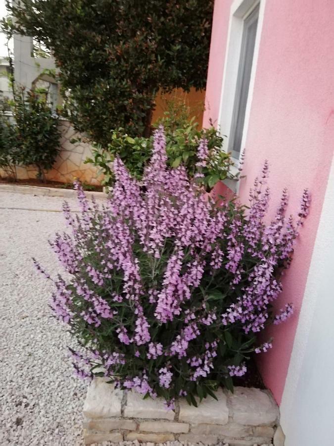 ויר Apartmani Poljanec מראה חיצוני תמונה